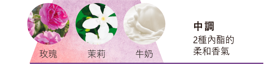 玫瑰、茉莉、牛奶  中調：2種內酯的柔和香氣